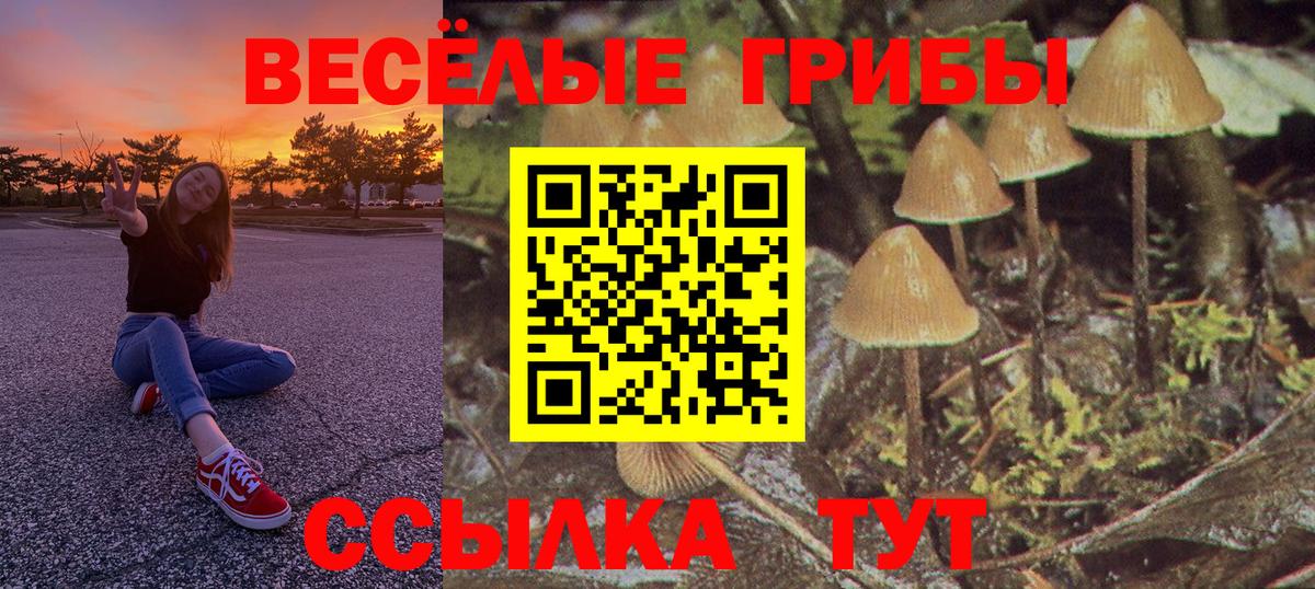 Галлюциногенные грибы Cubensis Скопин