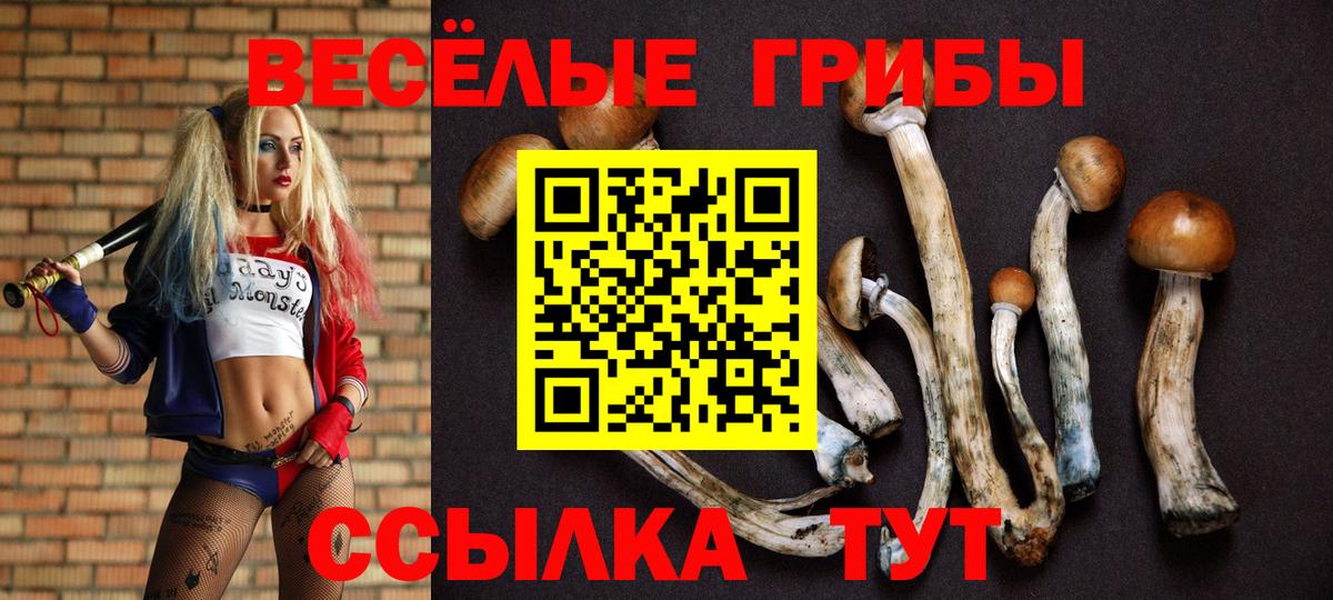 Скопин  Галлюциногенные грибы MAGIC MUSHROOMS  Псилоцибиновые грибы ЛСД  Вход с VPN 